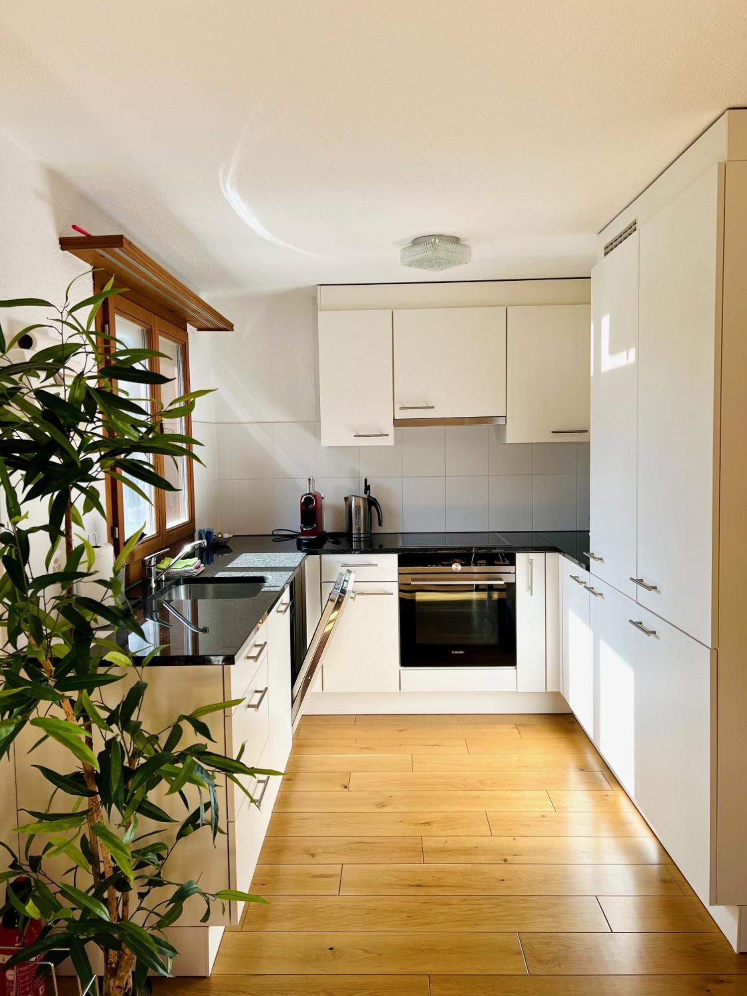 Maisonette 4.5 Zimmer, Naehe Ballenberg Hofstetten bei Brienz Ngoại thất bức ảnh